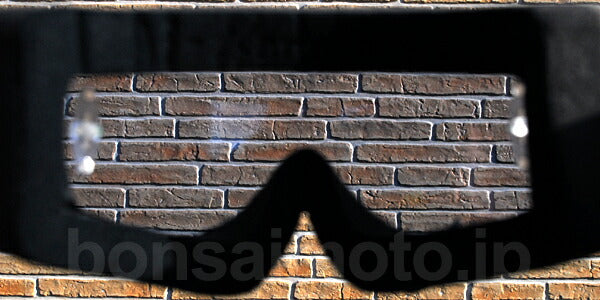 レンズ ピンなし ブルークリーク