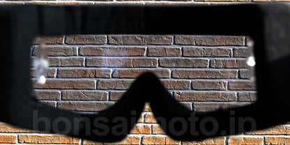 レンズ ピンなし ブルークリーク