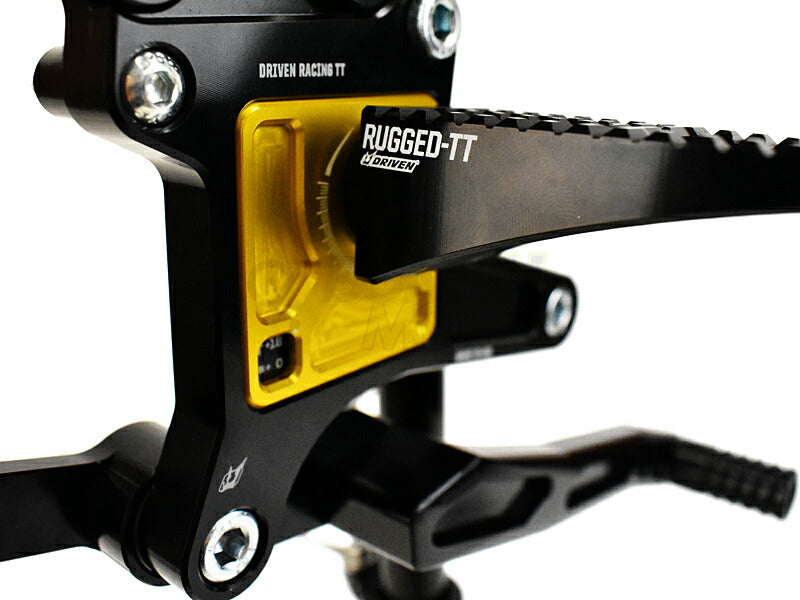 TT Rear Sets Gold R9T