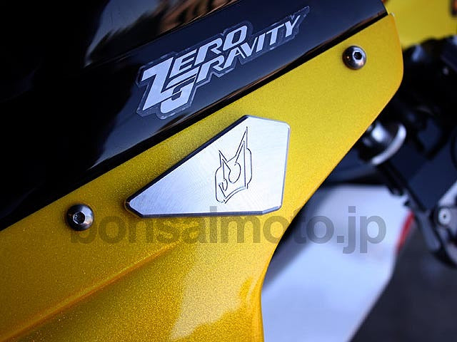 ミラーエリミネーター(ミラーブロックオフ)  ブルー  TRIUMPH 675R(12-)
