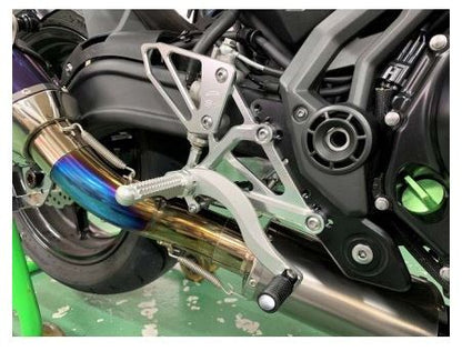 H/B(SV)ハイパーバンク 固定式 17ニンジャ650 シルバー