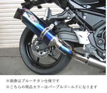 N-Evo2 Ti/PG 17ニンジャ/Z650