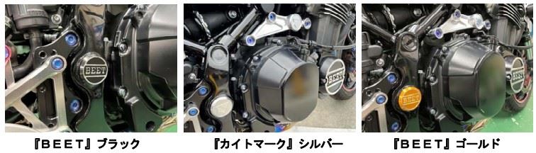 スイングアームピポットプラグ BEET ブラック Z900RS