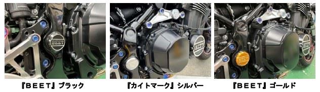 Swingarm Pivot Plug Kite Mark Silver Z900RS