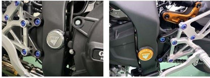 Swingarm Pivot Plug Set, Gray - ZX25R/4R