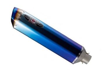 R-EVO T2汎用BLサイレンサー 400R ブルーチタン 400mm