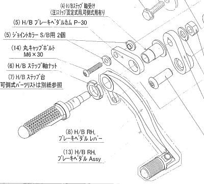 Hyper Bank Brake Pedal Cam 250TR