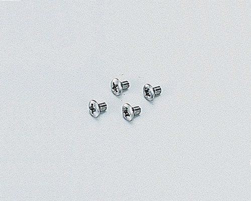ブリムT/ウインカー用ビス メッキボディ用 4個 補修部品