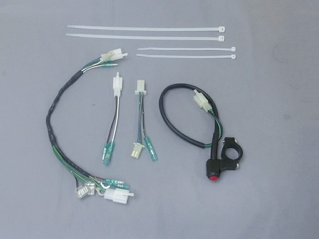 レーシングSPハーネスキット プッシュタイプキルスイッチ付 NSR50