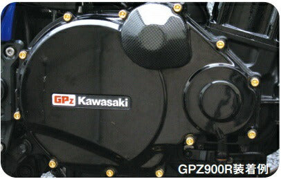 Gold Plated Pulser Cover Screw Set GPZ900R