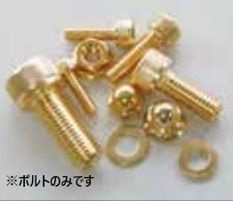 24K Gold-Plated Stainless Steel Cap Bolt M6 x 60 mm, 1 pc.