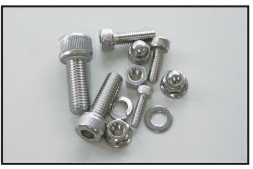 Stainless Steel Standard Socket Head Cap Screw M6x100 1PC