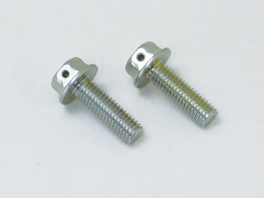 穴付キャリパー固定ボルト M8×25 P1.25 2本入 NSR50/80 グロム