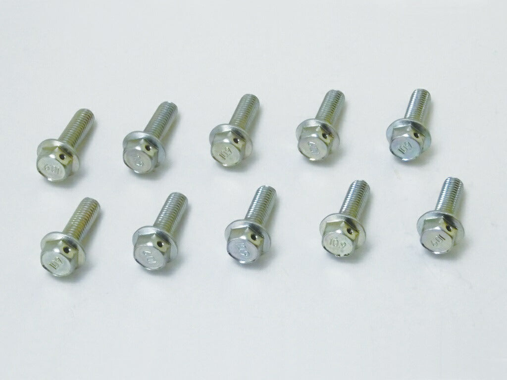 Hole-Drilled Caliper Fixing Bolts M8x25 P1.25, 10-pack, for NSR50/80 GROM