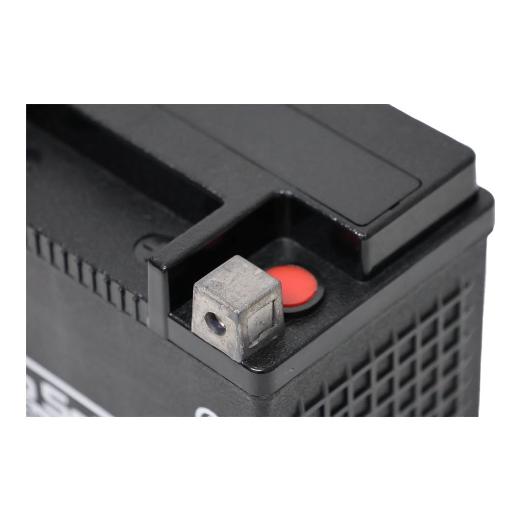 PTX14HL-BS ハーレー専用AGMバッテリー(YTX14L-BS互換) AGMタイプ X14L