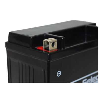 GL-PTX14-BS ナノ・ジェルバッテリー(YTX14-BS互換) 液入充電済 ジェルタイプ X14 1個