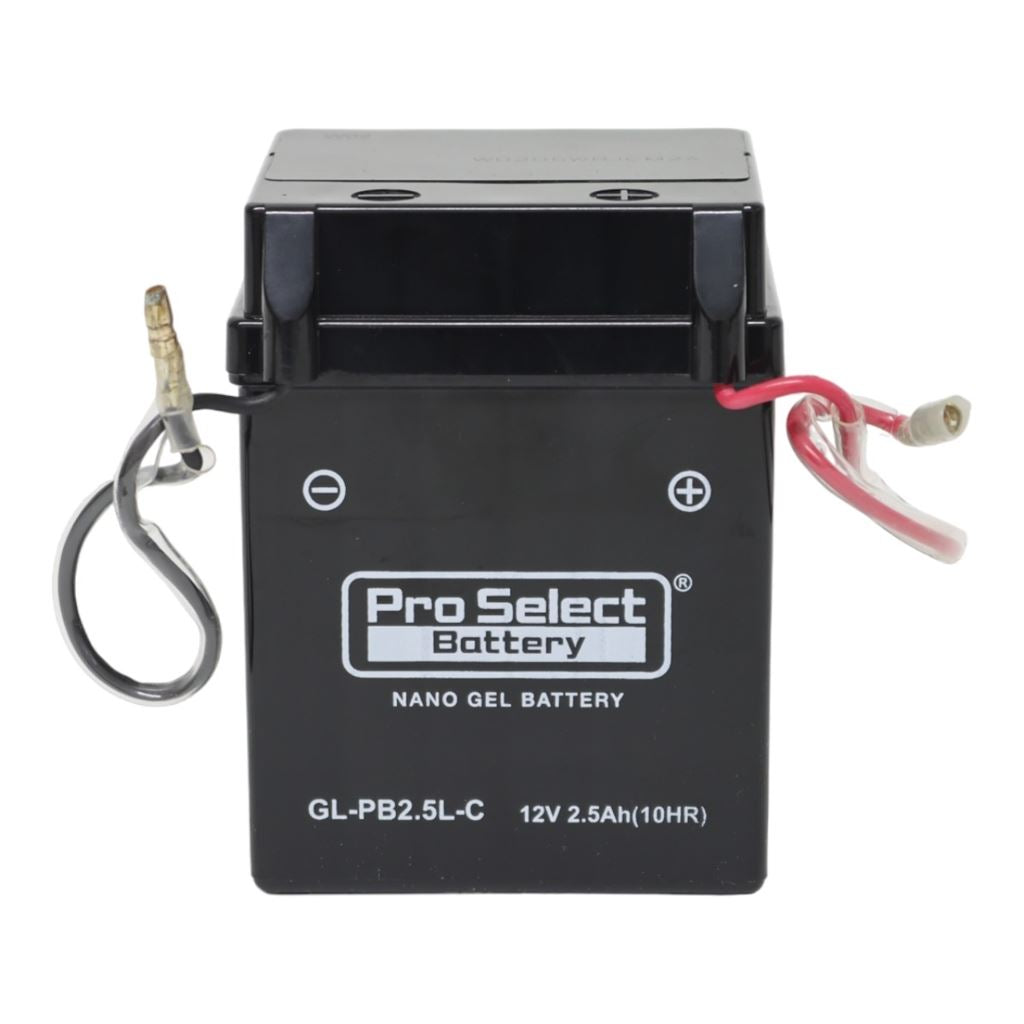 GL-PB2.5L-C ナノ・ジェルバッテリー(YB2.5L-C互換) 液入充電済 ジェルタイプ 2.5L-C 1個