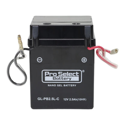 GL-PB2.5L-C ナノ・ジェルバッテリー(YB2.5L-C互換) 液入充電済 ジェルタイプ 2.5L-C 1個