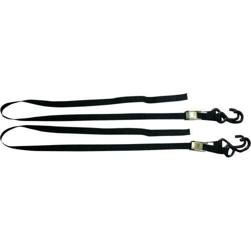 タイダウンベルト 幅25×全長1600mm 1セット(2本入)