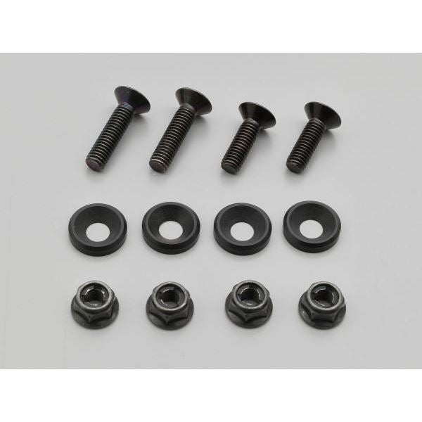Rosette washer & bolt set