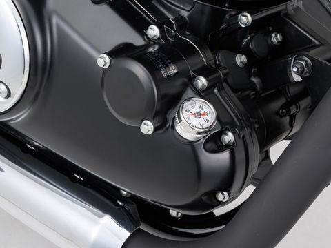 RRディップスティック油温計 ホワイト GB350/S