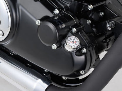 RRディップスティック油温計 ホワイト GB350/S