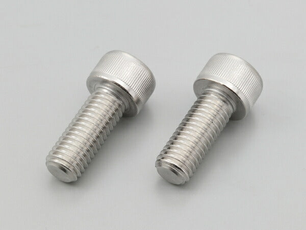 キャリパーマウントボルト M10X25 P1.5