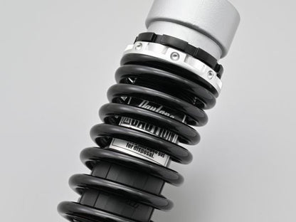 Adjustable Rear Shock, Silver Body/Black Spring