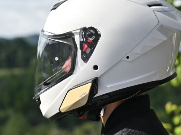 DT-02/E2 フェイスパネル サンドベージュ 1枚入り