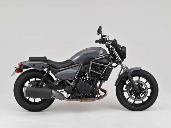FRPショートフェンダー ELIMINATOR/SE