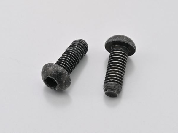ボタンボルト M8×22×P1.25 2個入り レブル1100/DCT/T/S Edition