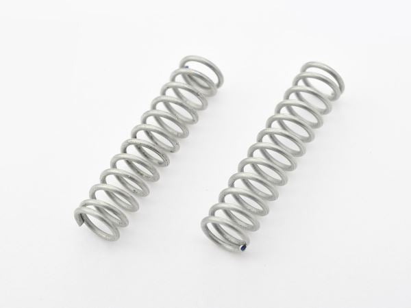 GIVI Z109 Bolt Springs (2 pcs)