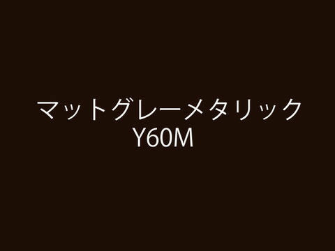 イージーリヘﾟア Y60E マットグレーメタリック