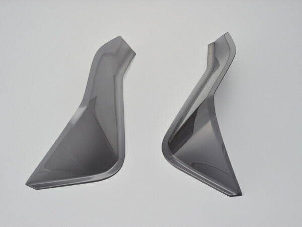 Side Visor/CYGNUS-X125(16