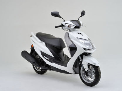 Side Visor/CYGNUS-X125(16