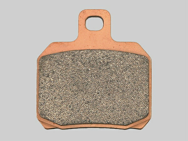 ゴールデンパッドX リヤ 999S(02)