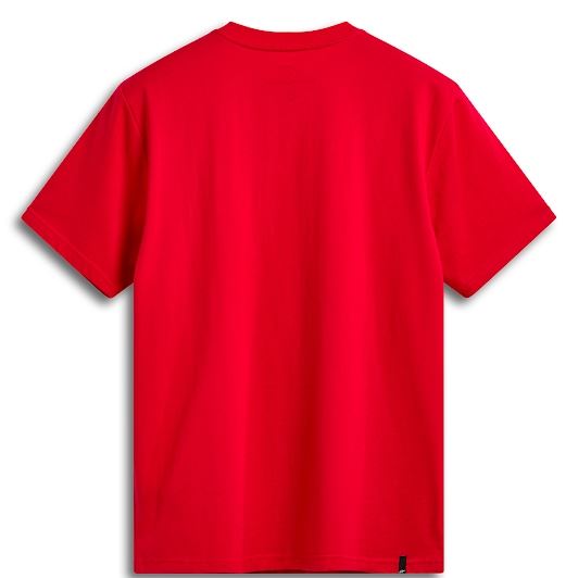 アルパインスターズ リニアワードマーク2.0Tシャツ レッド/ホワイト