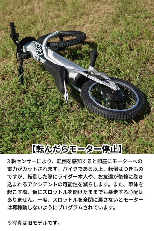 Meow3 ミャウ シルバー 12インチ