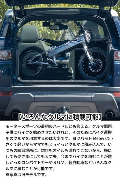 Meow3 ミャウ シルバー 12インチ