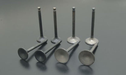Valve set, for one vehicle, Z1/Z2 Z900 Z750A4