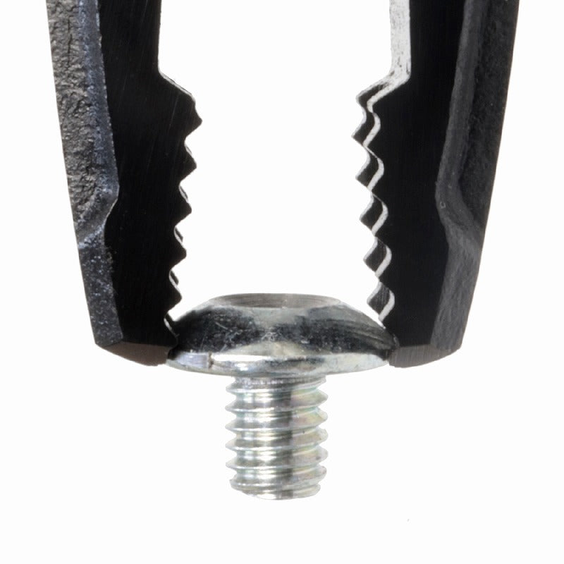 ネジザウルスDF 160mm ペンチ ねじ外し