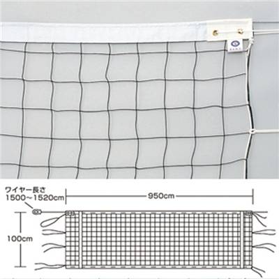 エバニュー バレーボールネット6人制検定V131（上下白帯付）