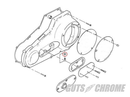 Primary Drain O-Ring 04-UP Dyna