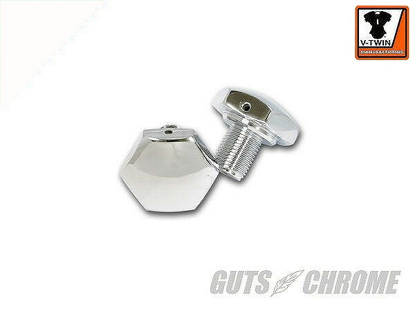 Fork Tube Plug Cap Set 49-E77 FL