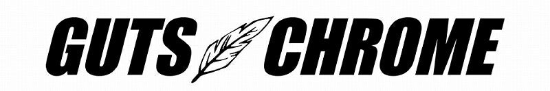 Wディスク用 10インチディスク ドリルド スチール