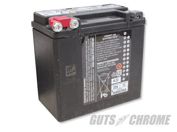 ハーレー純正 バッテリー OEM/65948-00 V-ROD VRSCA VRSCD/VRSCR VRSCDX/VRSCX/VRSCAW