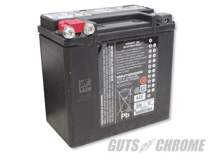 ハーレー純正 バッテリー OEM/65948-00 V-ROD VRSCA VRSCD/VRSCR VRSCDX/VRSCX/VRSCAW