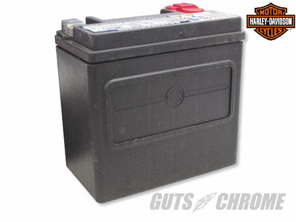 ハーレー純正 バッテリー OEM/65948-00 V-ROD VRSCA VRSCD/VRSCR VRSCDX/VRSCX/VRSCAW