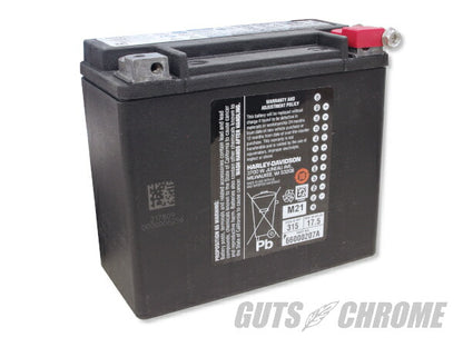 ハーレー純正 バッテリー OEM/65989-97C XL ダイナ ソフテイル V-ROD