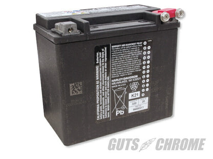 ハーレー純正 バッテリー OEM/65989-90B ダイナ ソフテイル